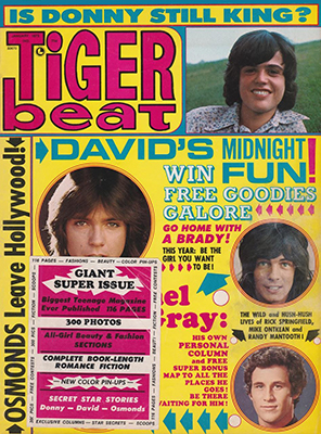 Tiger Beat January 1973